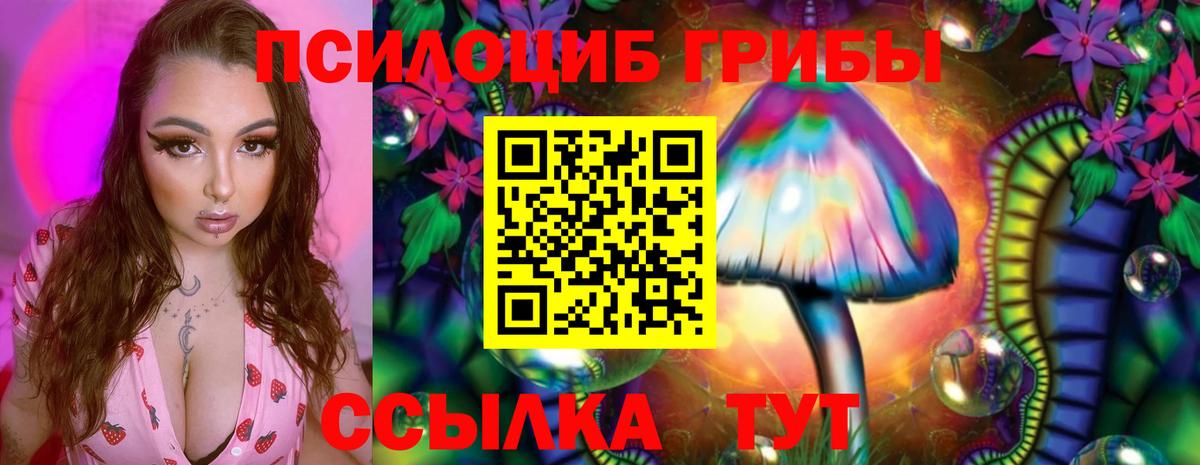 Псилоцибиновые грибы Psilocybe  Вход с VPN  закладки  Мариинск 